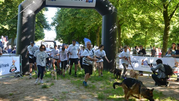 En 2013, plus de 150 coureurs, dont 90 avec un chien de la SPA ont participé à cet événement.