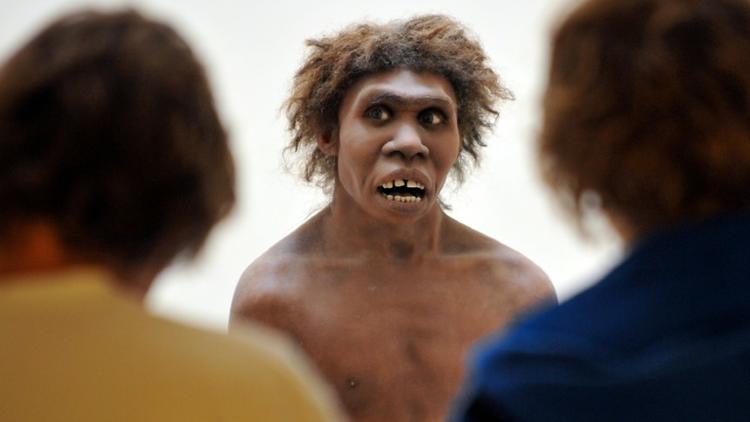 Photo prise le 2 juillet 2008 à Eyzies-de-Tayac, en Dordogne, d'un mannequin représentant un homme de Néandertal [PIERRE ANDRIEU / AFP/Archives]