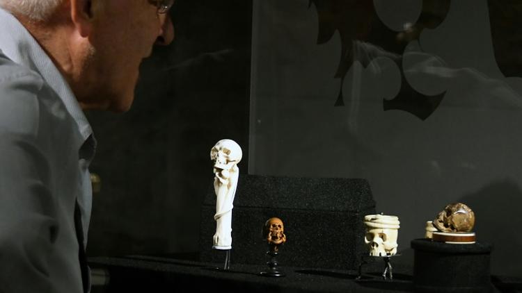 L'étonnante collection de crânes miniatures rassemblés au début du XXe siècle par la baronne Henri de Rothschild présentée à la fondation Bemberg, à Toulouse le 29 juin 2018  [PASCAL PAVANI / AFP]