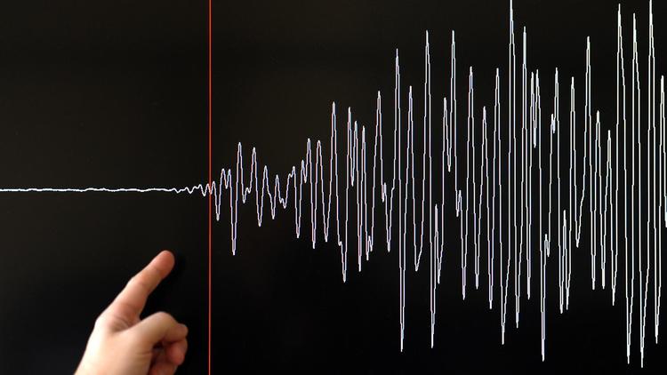 Un sismographe [Frederick Florin / AFP/Archives]