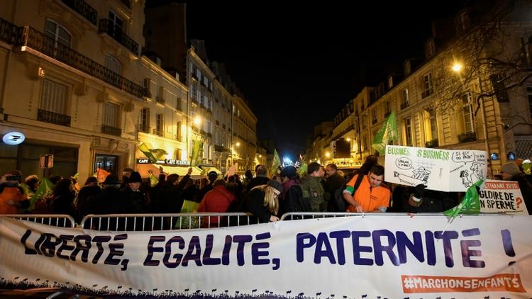 Manifestation contre l'ouverture de la procréation médicalement assistée (PMA) à toutes les femmes, devant le Sénat, le 21 janvier 2020 à Paris [Bertrand GUAY / AFP]
