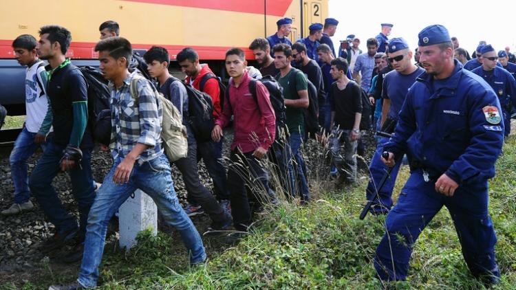 Des réfugiés escortés vers un train par des policiers le 8 septembre 2015 près de Szeged à la frontière de la Serbie et de la Hongrie [ATTILA KISBENEDEK / AFP]