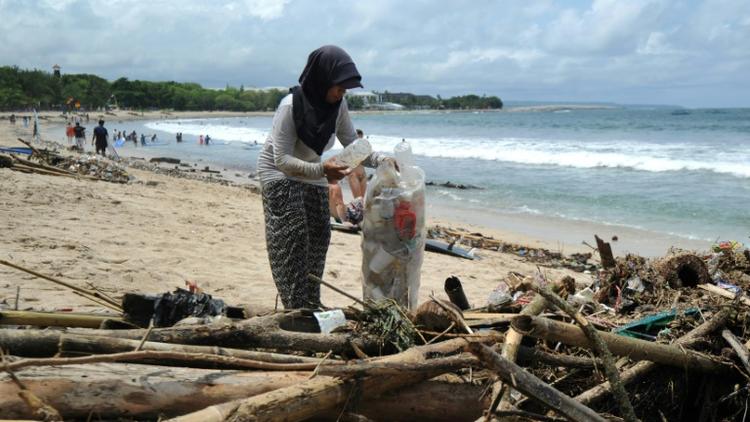 Une femme collecte des déchets plastiques sur une plage, le 9 décembre 2018 à Bali [SONNY TUMBELAKA / AFP]
