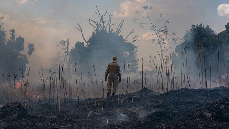 Incendie de forêt dans l'Etat brésilien du Mato Grosso, le 26 août 2019 [Mayke TOSCANO / Mato Grosso State Communication Department/AFP]
