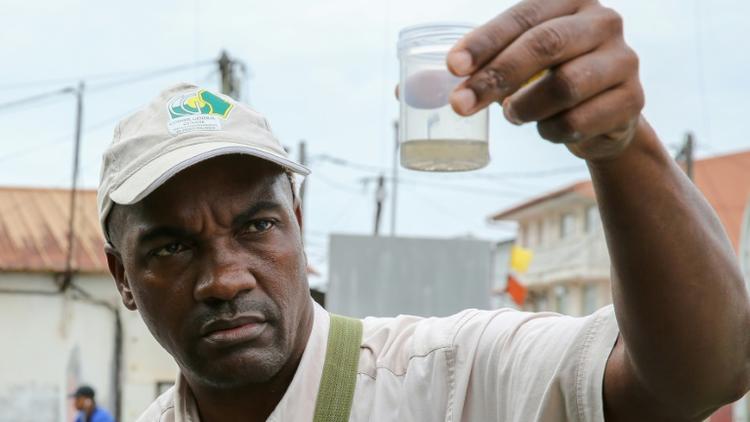 Un employé de la collectivité territoriale de Guyane collecte des larves de moustiques pendant une opération contre le virus du Zika, à Cayenne, le 19 février 2016  [jody amiet / AFP/Archives]