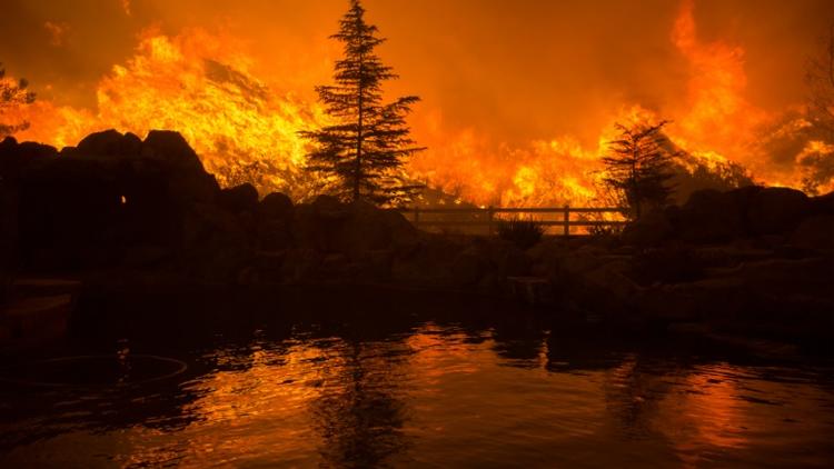 Incendie le 23 juillet 2016 à Santa Clarita en Californie [DAVID MCNEW / AFP/Archives]