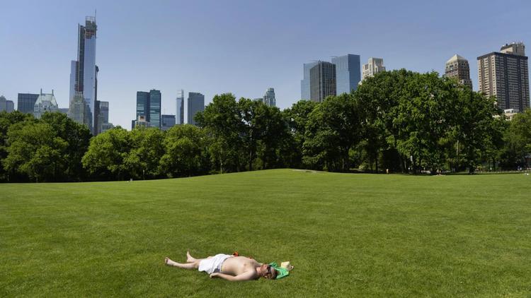 Une vue de Central Park, le 30 mai 2013 à New York [Timothy A. Clary / AFP/Archives]
