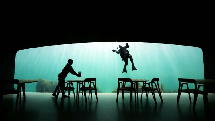 Un plongeur nettoie la vitre du premier  restaurant sous-marin d'Europe, 400 km au sud d'Oslo, le 2 mai 2019 [Jonathan NACKSTRAND / AFP/Archives]
