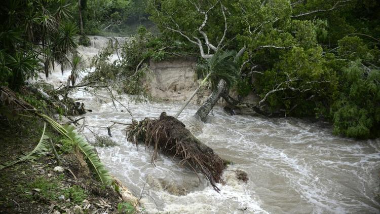 Les pluies de la tempête Earl alimentent les flots des rivières dans la région de la ville de Melchor de Mencos (Guatemala), une région située à la frontière du Belize, le 4 août 2016 [JOHAN ORDONEZ / AFP]