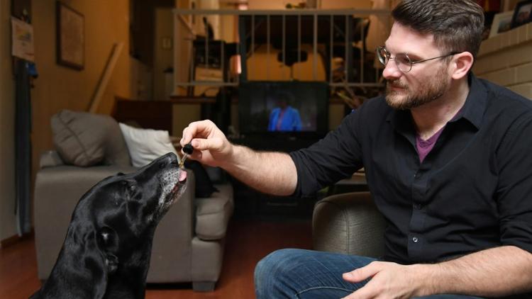 Brett Hartman administre à sa chienne Cayley une dose de cannabis pour l'aider à lutter contre l'anxiété, le 8 juin 2017 à Los Angeles [Robyn Beck / AFP]