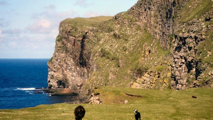 Les falaises de l'île de Foula, dans l'archipel des Shetland, en Écosse. 