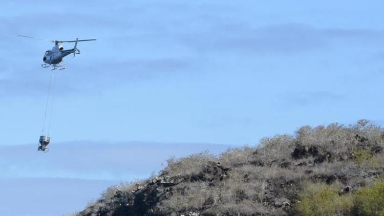 Un hélicoptère répand du poison pour éliminer les rongeurs au-dessus de l'île Pinzon, dans l'archipel des Galapagos, le 8 décembre 2012