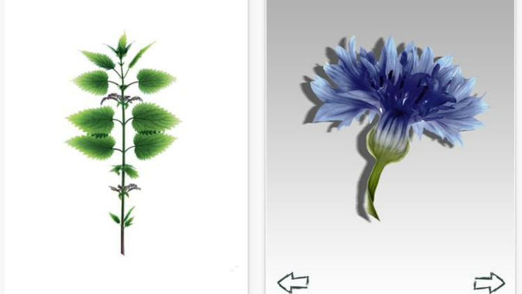 L'Herbier digital permet de se constituer sa propre collection de plantes sur son mobile.