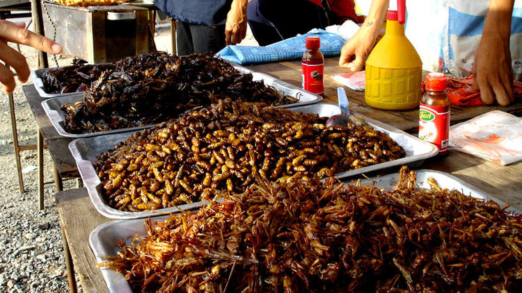 Un marché aux insectes en Thaïlande