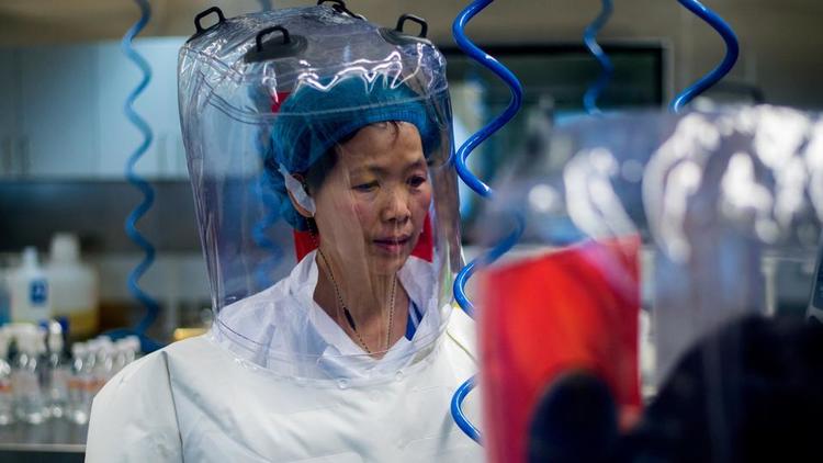 L'Institut de virologie de Wuhan possède par ailleurs la plus grande collection de souches de virus en Asie. 
