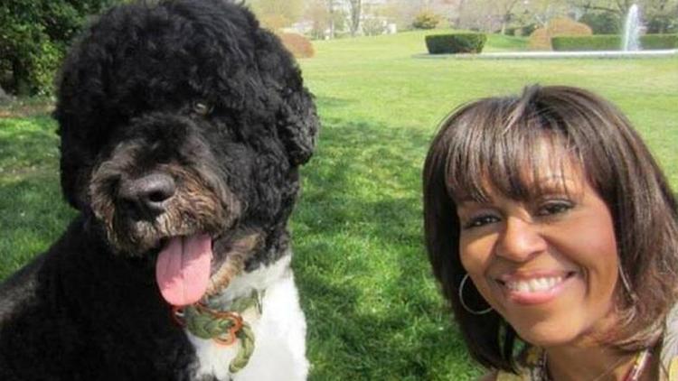 Michelle Obama, première dame des Etats-Unis et Bo, le chien présidentiel se font un "selfie", un autoportrait pris à partir d'un téléphone portable / illustration