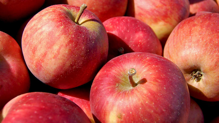 Pourquoi les pommes ont-elles cette forme si particulière