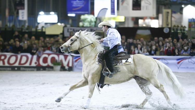 Un cavalier et sa monture lors d'une épreuve d'équitation western.