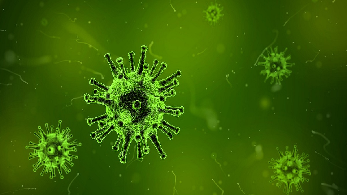 Virus SHFV : proche d'Ebola et du VIH, quel est ce mystérieux virus qui inquiète de plus en plus ? 